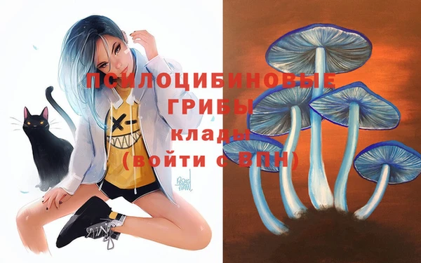 спиды Верхний Тагил