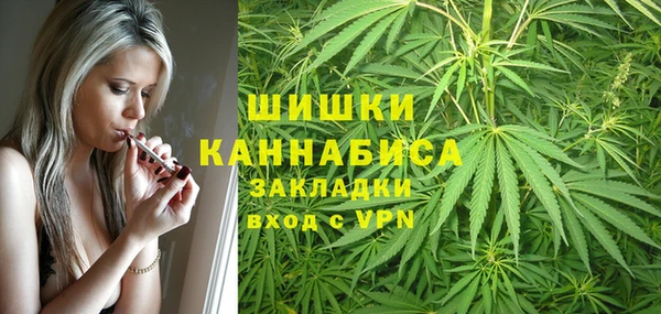 mix Снежногорск
