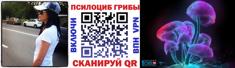MEGA как войти  Каменка  Псилоцибиновые грибы мухоморы 